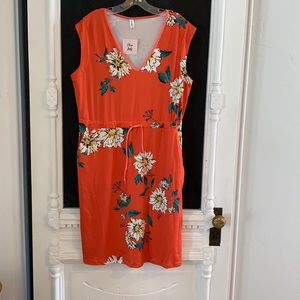 Nwr Pixie lady large orange dress with pockets